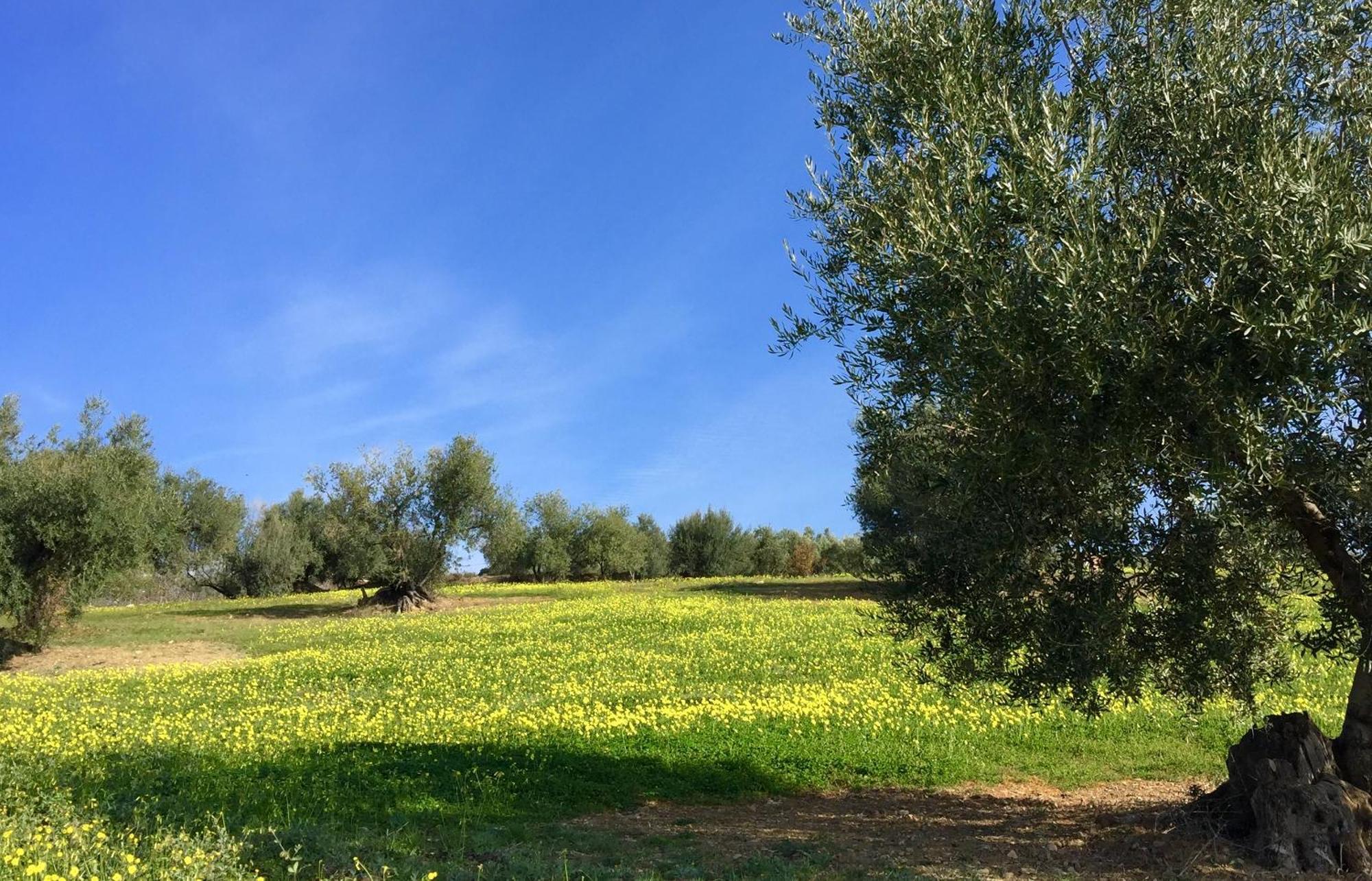 La Fuente Villa